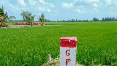 Sẽ khởi công dự án đường dẫn vào 3 cầu trên tuyến Đường tỉnh 827E trước ngày 19/8