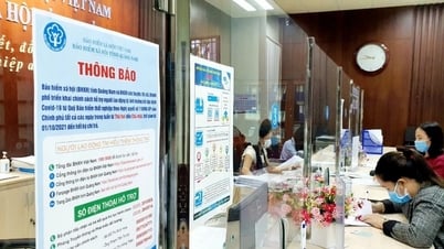 Издать подробные правила осуществления инвестиционной деятельности за счет страховых фондов.
