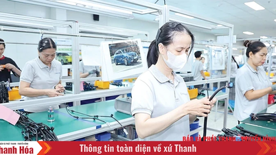 Linh hoạt thích ứng, giữ đà xuất khẩu