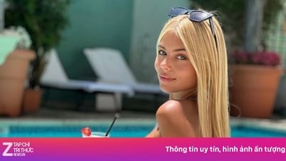 Người vợ tài năng của Courtois