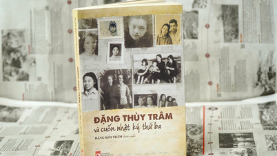 Những câu chuyện chưa kể chung quanh cuốn nhật ký thứ ba của liệt sĩ Đặng Thùy Trâm