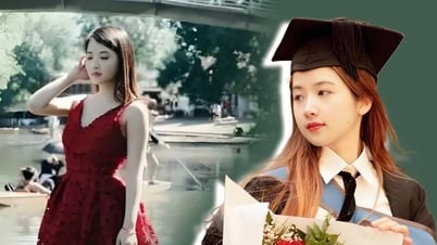 Sự nghiệp thăng hoa của nữ tiến sĩ toán từng bị chỉ trích chỉ vì... quá đẹp
