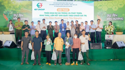 Phát động dự án trồng 100 triệu cây đàn hương trên vùng Tây Nguyên