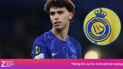 Al Nassr lật kèo thành công vụ Joao Felix