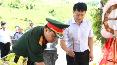 Tháng 7 và những cánh hoa lặng thầm