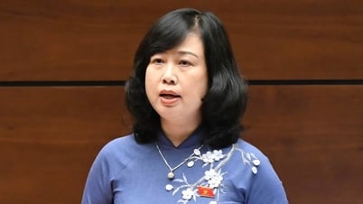 Bộ trưởng Đào Hồng Lan trả lời về lộ trình hướng tới miễn viện phí toàn dân