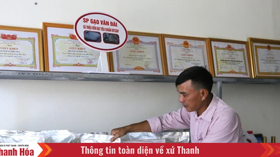 Phát triển sản phẩm OCOP trong các HTX