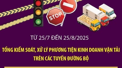 Tổng kiểm soát, xử lý phương tiện kinh doanh vận tải trên các tuyến đường bộ