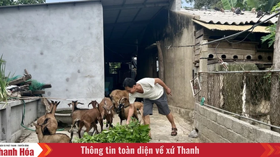 Sống là để tiếp tục cống hiến