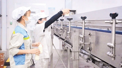 Kiến tạo không gian cho doanh nghiệp đổi mới sáng tạo