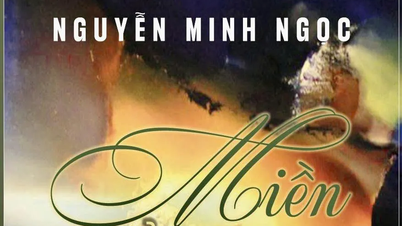 Miền cỏ tranh: Lời tâm tình của cuộc sống thời chiến