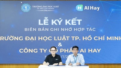 Tặng 15.000 tài khoản AI Pro cho sinh viên luật TPHCM