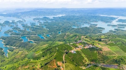 ラムドン省、ダクノン省、ビントゥアン省の3省合併：経済・観光の潜在力を解き放つ