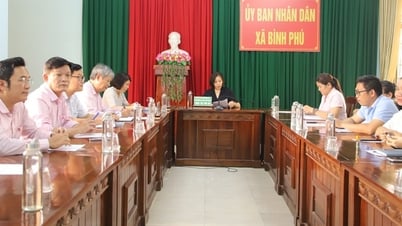 TƯ Hội LHPN Việt Nam kiểm tra, giám sát hoạt động ủy thác với ngân hàng tại xã Bình Phú, Gia Lai