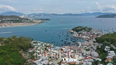 Khẩn trương thực hiện các nhiệm vụ bảo vệ, bảo tồn và phục hồi nguồn lợi thủy sản, hệ sinh thái biển trên địa bàn tỉnh Khánh Hòa