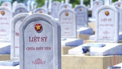 Những địa chỉ tin cậy đẩy nhanh hy vọng tìm kiếm mộ liệt sĩ