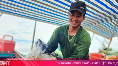 Ngư dân Hà Tĩnh "trúng" hải sản sau những ngày biển động