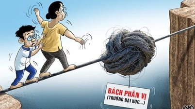 Bách phân vị để làm gì?