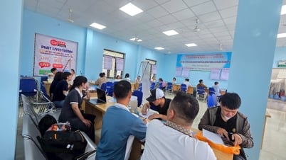 Gần 1.600 lao động ở Hải Phòng tìm hiểu thông tin việc làm