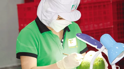 Hoa Kỳ - thị trường rộng lớn nhưng không dễ “chen chân”