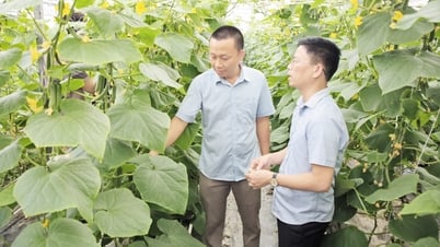 Cơ giới hóa - Đòn bẩy xây dựng nền nông nghiệp hiện đại