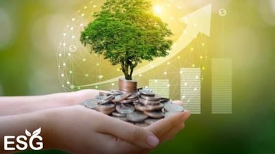 Chuyển đổi xanh không chỉ là yêu cầu bắt buộc mà là khoản đầu tư chiến lược