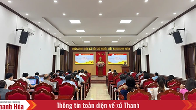 Nâng cao công tác quản lý Nhà nước về triển khai chuyển đổi số cho 8 xã biên giới