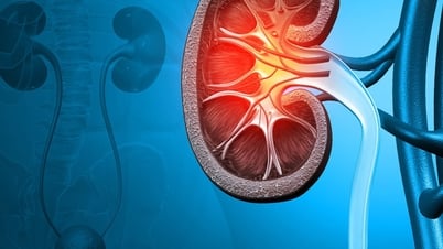 5 dấu hiệu cho thấy sức khỏe thận đang tốt