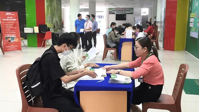 Nâng cao hiệu quả phối hợp, kết nối việc làm