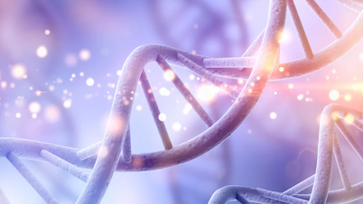 Secret genetic code discovered in human DNA