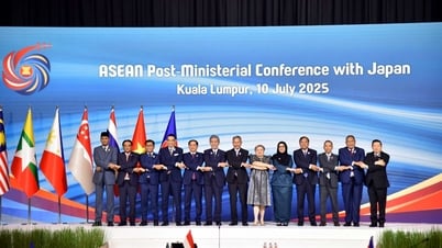 Đại sứ Nhật Bản tại ASEAN: Việt Nam sẽ đóng vai trò then chốt trong định hình tương lai khu vực