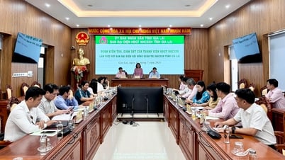 Đoàn kiểm tra, giám sát của thành viên HĐQT NHCSXH làm việc với Ban đại diện HĐQT Chi nhánh NHCSXH tỉnh Gia Lai