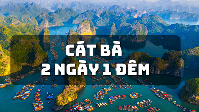 "Viên ngọc xanh" của Hải Phòng: Đón hơn 2,5 triệu lượt khách mỗi năm