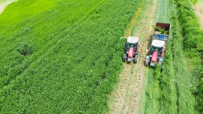 'Mở khóa tự nhiên' tại Green Farm: Mô hình sinh thái của Vinamilk truyền cảm hứng cho doanh nghiệp