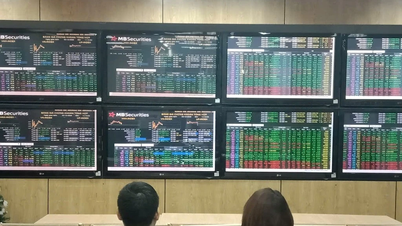 VN-Index lập đỉnh mới nhờ dòng tiền đổ mạnh vào chứng khoán
