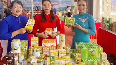 Lào Cai: Thêm 62 sản phẩm OCOP được "gắn sao"