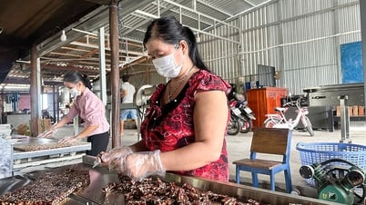Giữ nghề xưa nơi làng quê Vĩnh Thuận