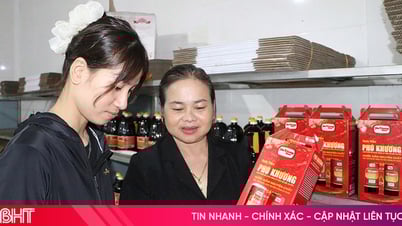 Chiến lược nào giúp sản phẩm của các HTX có chỗ đứng trên thị trường?