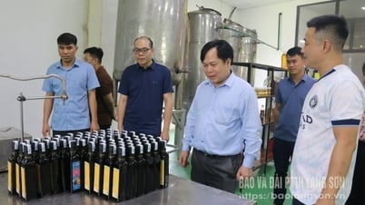 Để OCOP không ngừng nghỉ