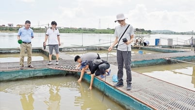 Cảnh báo kịp thời, bảo vệ thủy sản