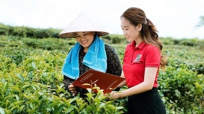 Agribank đồng hành cùng doanh nghiệp tư nhân, nâng tầm động lực kinh tế quốc gia