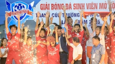 Một cầu thủ đá hỏng 2 quả 11 m, đội Trường ĐH Đồng Tháp đánh rơi chức vô địch