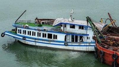 Yêu cầu đề xuất giải pháp xử lý lỗ hổng chết người từ vụ lật tàu Vịnh Xanh 58