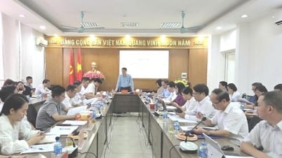 Khảo sát việc thực hiện chính sách, pháp luật về văn hóa, xã hội tại Xuân Phương