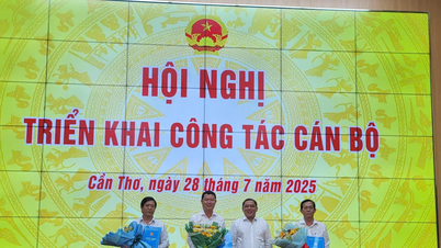 TP Cần Thơ: Bổ nhiệm nhân sự chủ chốt Trung tâm Phát triển quỹ đất