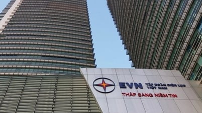 EVN bất ngờ báo lãi hơn 8.200 tỷ đồng năm 2024
