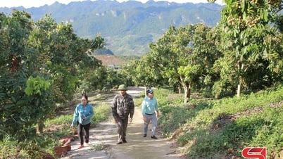 Lóng Phiêng bước tiếp hành trình phát triển