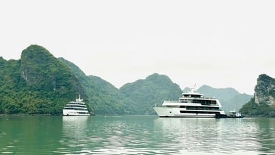 Cần hoàn chỉnh lại quy trình an toàn cho du lịch đường thủy
