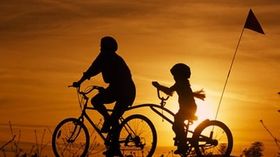 Mùa hè của bố