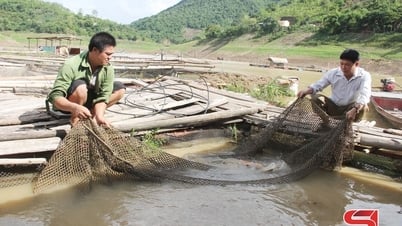 Xây dựng các mô hình kinh tế hiệu quả